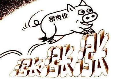 全国猪价地图出炉 哪里的猪肉最贵?