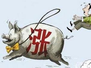 工资不涨肉价涨：猪肉价历史最高