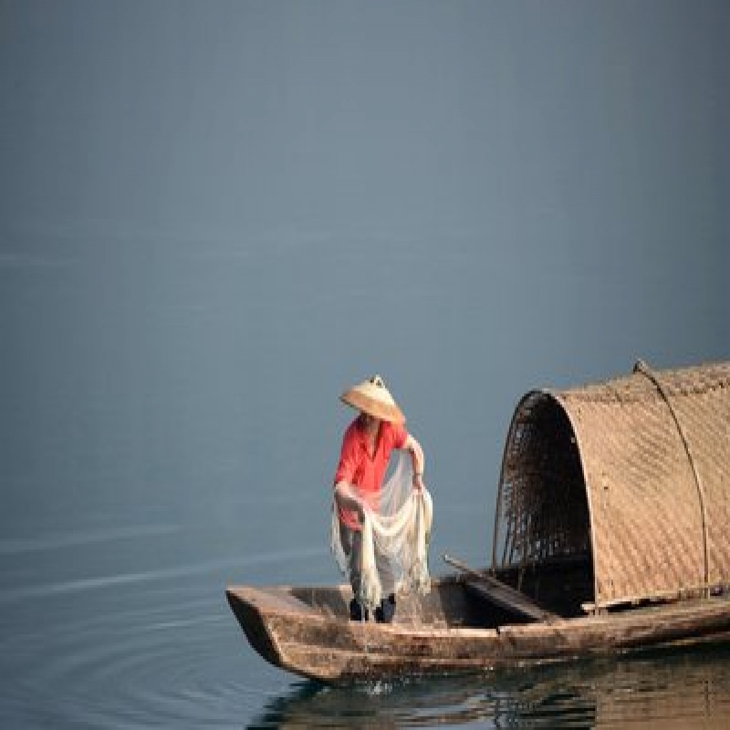 2019年上半年渔民人均纯收入11267元