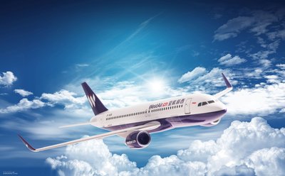 2019年上半年四大航空集团业绩情况