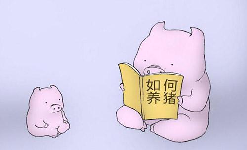 河南千亿首富,开出2万月薪招聘名校学生养猪