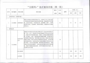 海南公布13项“互联网+”医疗服务项目价格，11月10日起执行