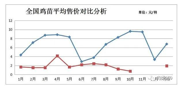 11月肉鸡价格走势如何?【肉鸡价格大盘点】 11月肉鸡价格走势如何?【肉鸡价格大盘点】