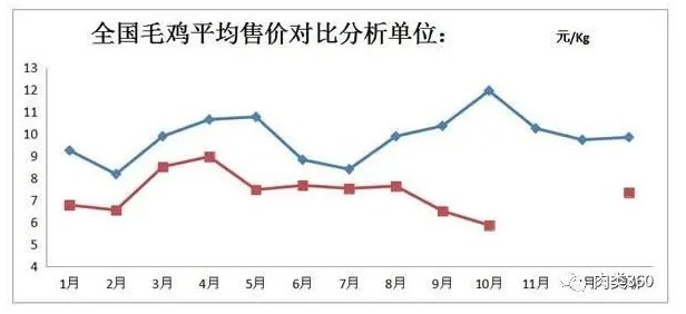 11月肉鸡价格走势如何?【肉鸡价格大盘点】 11月肉鸡价格走势如何?【肉鸡价格大盘点】