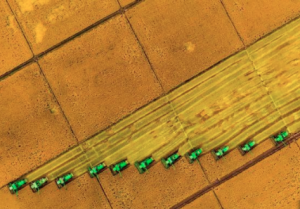 专家:中国粮食供应有保障 价格上涨难持续