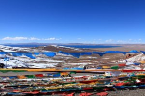 西藏贫困群众人均纯收入突破万元