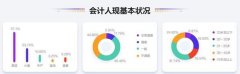 2020年度会计人薪资调查报告出炉