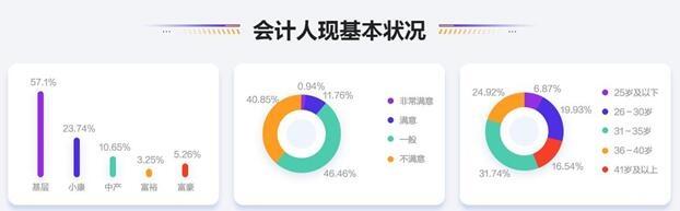 2020年度会计人薪资调查报告出炉