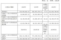 上海洗霸2020年净利下滑14.16% 董事长王炜薪酬56.45万