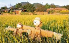 中山“五一”期间实现旅游总收入5.52亿元