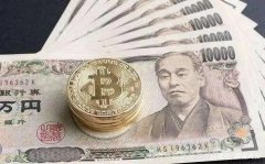 日本国会议员人均收入2416万日元