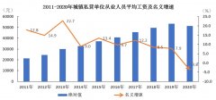 2020年海南省城镇私营单位就业人员年平均工资51388元