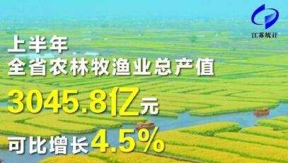 2021上半年江苏居民人均可支配收入25119元 2021上半年江苏居民人均可支配收入25119元